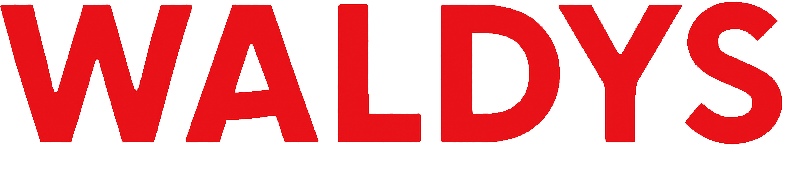 Waldys.fr - Magasin en ligne & Bonnes affaires Noël 2025